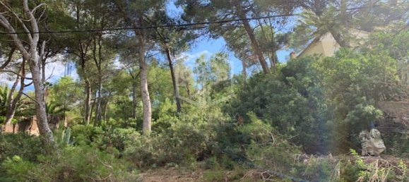 Land in Calvia, Spain No. 11432 10