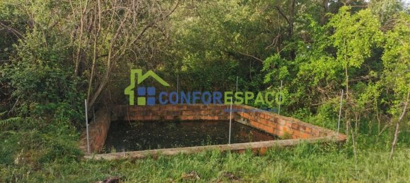 Terrain à Idanha a Nova, Portugal 55500m² No. 82809 22