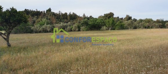 Terrain à Idanha a Nova, Portugal 55500m² No. 82809 14