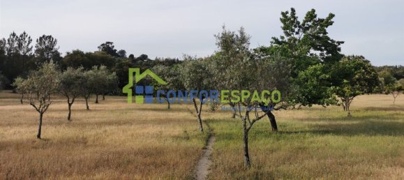 Terrain à Idanha a Nova, Portugal 55500m² No. 82809 9