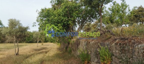 Terrain à Idanha a Nova, Portugal 55500m² No. 82809 19