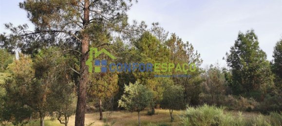 Terrain à Idanha a Nova, Portugal 55500m² No. 82809 5