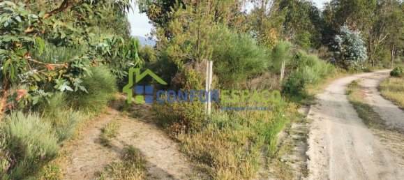 Terrain à Idanha a Nova, Portugal 55500m² No. 82809 3