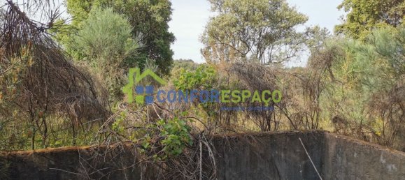 Terrain à Idanha a Nova, Portugal 55500m² No. 82809 38