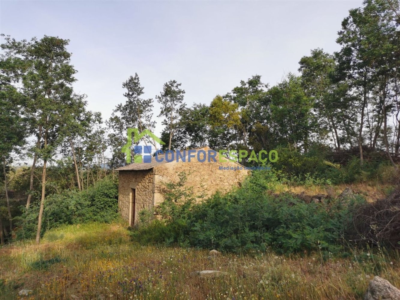 Terrain à Idanha a Nova, Portugal 55500m² No. 82809