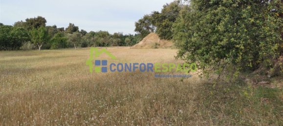 Terrain à Idanha a Nova, Portugal 55500m² No. 82809 15