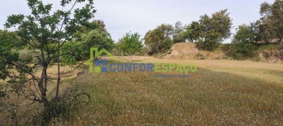 Terrain à Idanha a Nova, Portugal 55500m² No. 82809 16
