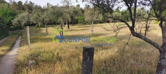 Terrain à Idanha a Nova, Portugal 55500m² No. 82809 31