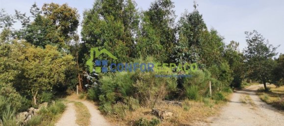 Terrain à Idanha a Nova, Portugal 55500m² No. 82809 2