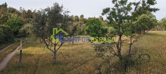 Terrain à Idanha a Nova, Portugal 55500m² No. 82809 18