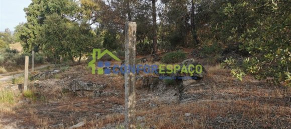 Terrain à Idanha a Nova, Portugal 55500m² No. 82809 32