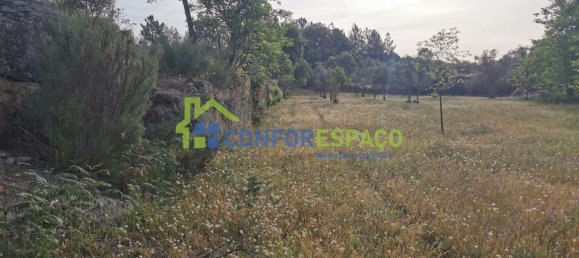 Terrain à Idanha a Nova, Portugal 55500m² No. 82809 29