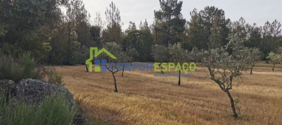 Terrain à Idanha a Nova, Portugal 55500m² No. 82809 8