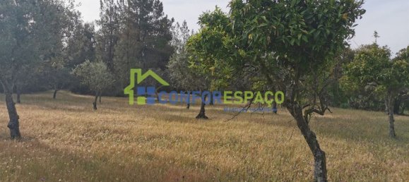 Terrain à Idanha a Nova, Portugal 55500m² No. 82809 12