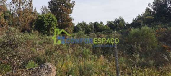 Terrain à Idanha a Nova, Portugal 55500m² No. 82809 33