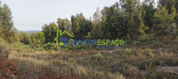 Terrain à Idanha a Nova, Portugal 55500m² No. 82809 4