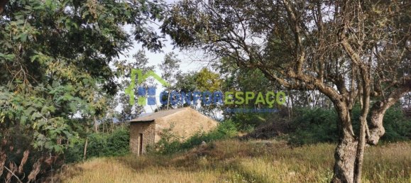 Terrain à Idanha a Nova, Portugal 55500m² No. 82809 23