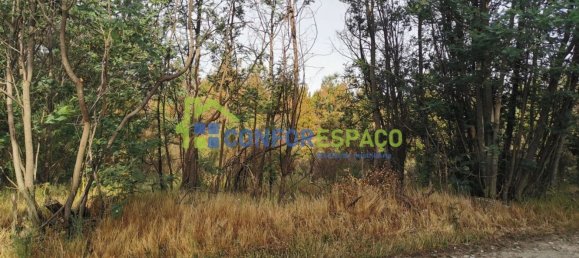 Terrain à Idanha a Nova, Portugal 55500m² No. 82809 34