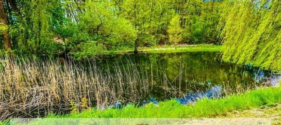 3 Schlafzimmer Bauernhof in Stendal, Germany, Nr. 163761 3