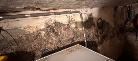 1 bedroom House in Oberbergischer, Germany No. 228874 49