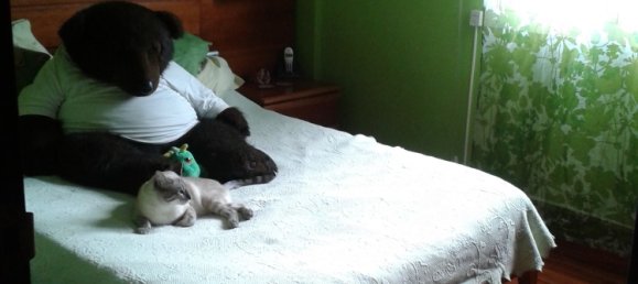 Вилла с 6 спальнями в Бенахавис, Испания № 163303 7