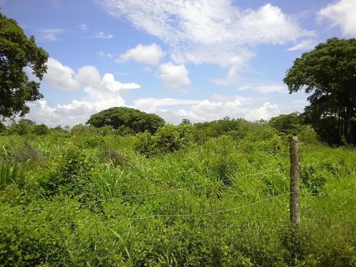 Земельный участок в Веракрус, Мексика № 207091