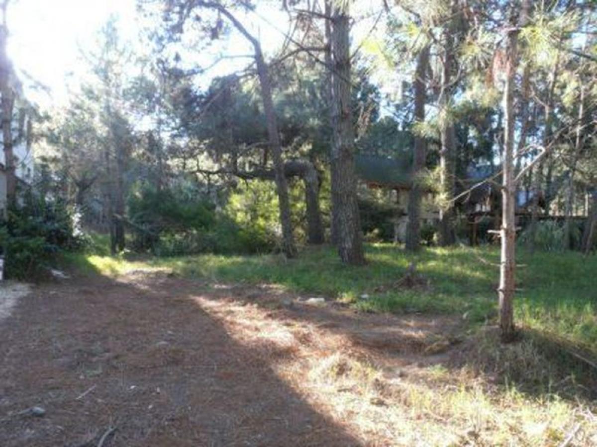  Land in Mar del Plata, Argentina No. 113640