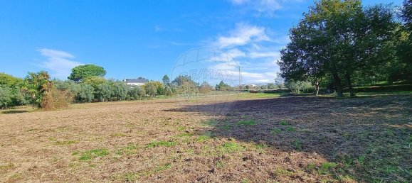 Земельный участок в Канаш де Санта Мария, Португалия № 190393 2