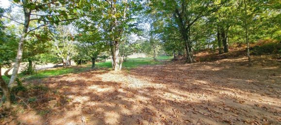 Земельный участок в Канаш де Санта Мария, Португалия № 190393 4