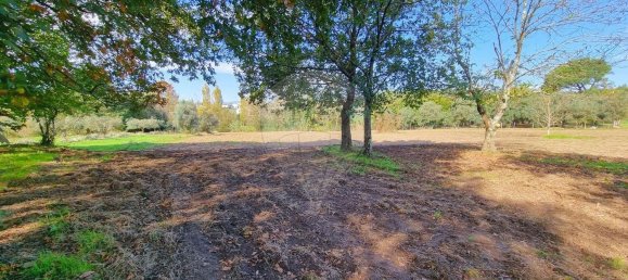 Земельный участок в Канаш де Санта Мария, Португалия № 190393 3