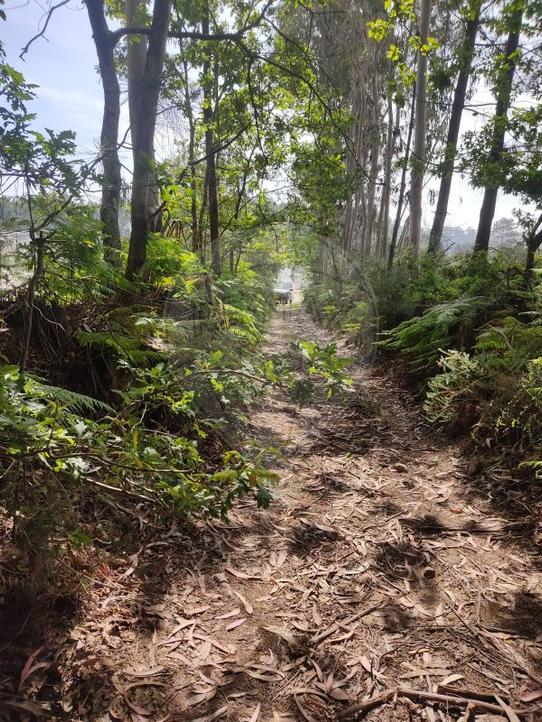  Land in Freamunde, Portugal No. 203967