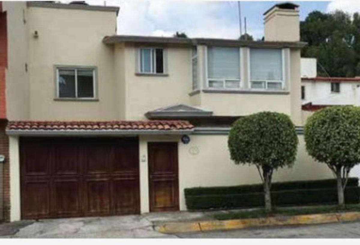 Studio in Mexico, Nr. 210990