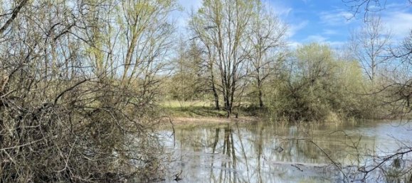 Grundstück in Lezoux, France 23491m², Nr. 278079 2