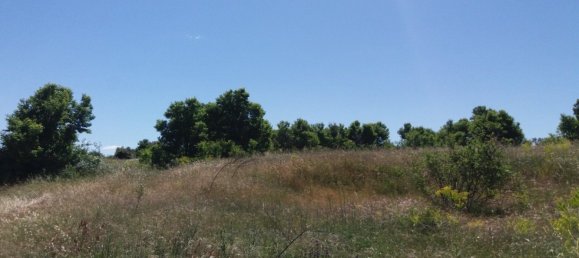 16266m² Land in Segovia, Spain No. 74877 6