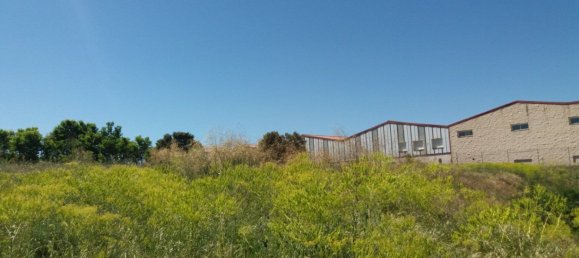 16266m² Land in Segovia, Spain No. 74877 9