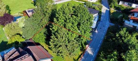  Land in Wiesing, Austria No. 211837 5