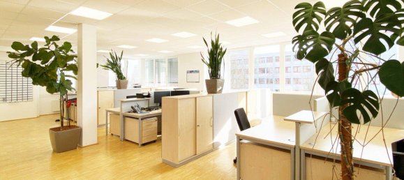 Oficina en Wels, Austria 458 m² No. 92615 4