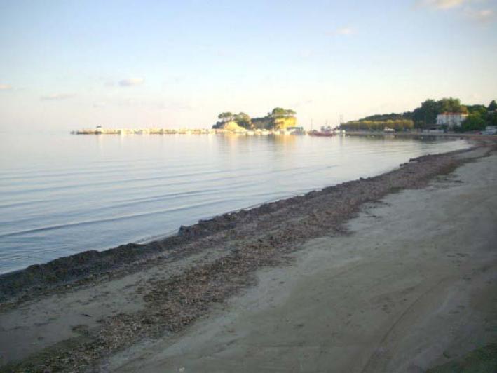  Land in Zakynthos, Greece No. 549