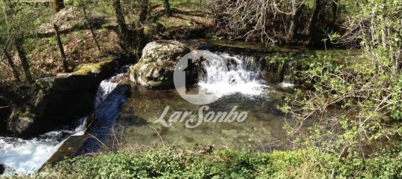 3 Schlafzimmer Haus in Santo Tirso, Portugal, Nr. 42054 12