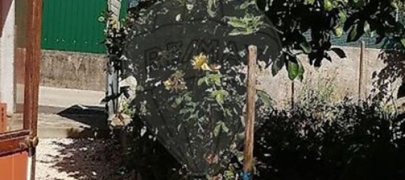 1 Schlafzimmer Haus in Proenca a Nova, Portugal, Nr. 313095 9