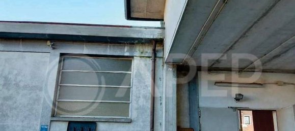 5 rooms Warehouse in Noventa Padovana, Italy No. 293546 12