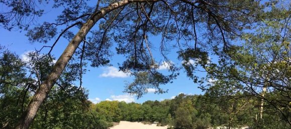 4 chambres Bungalow à Ammerland, Germany No. 238742 5