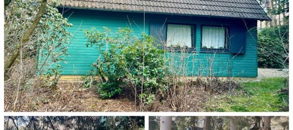 4 chambres Bungalow à Ammerland, Germany No. 238742 2