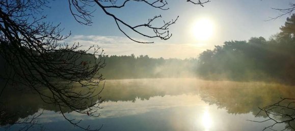 4 chambres Bungalow à Ammerland, Germany No. 238742 4