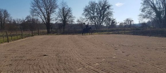 4 Schlafzimmer Schlösser in Vonnas, France, Nr. 314650 9