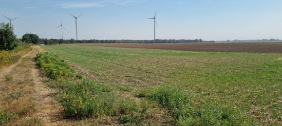 Terrain à Prellenkirchen, Austria No. 130442 4