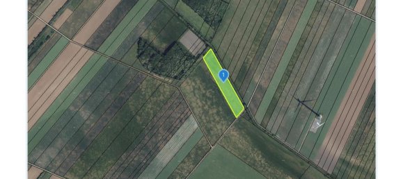 Terrain à Prellenkirchen, Austria No. 130442 6