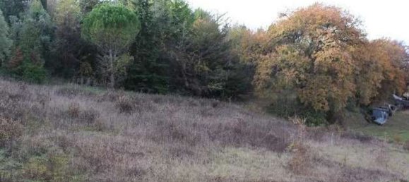 Lagerhaus in Torre San Patrizio, Italy 2785m², Nr. 300731 14