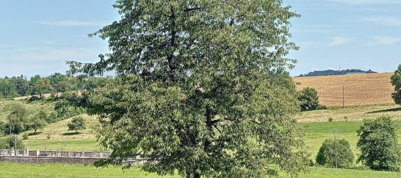 4 غرف نوم منزل في Martinvelle, France رقم 52833 24