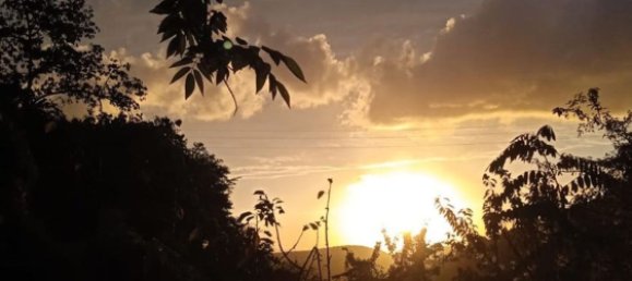 6 rooms House in San Giuliano Terme, Italy No. 145591 11